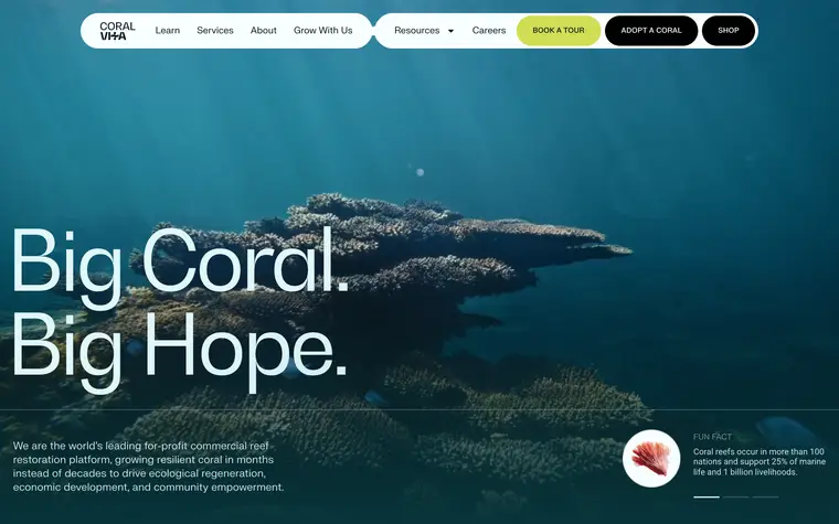 Coral Vita — coralvita.co